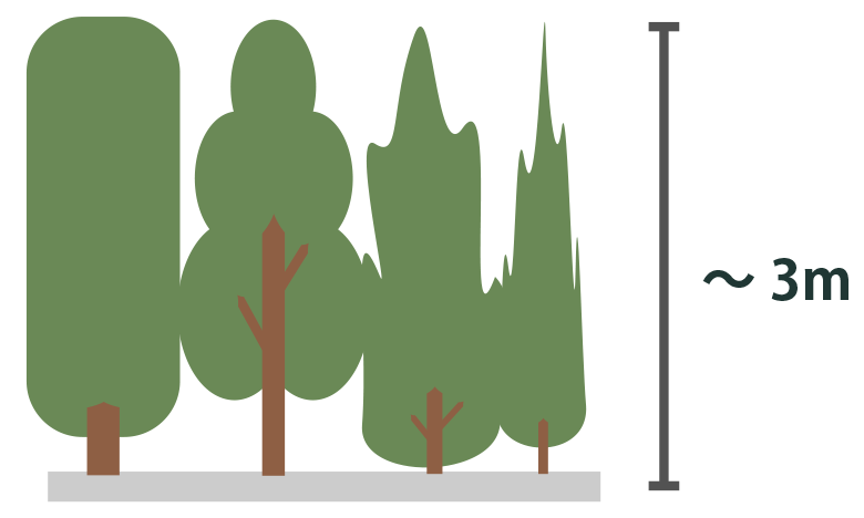 樹木一軒分イラスト